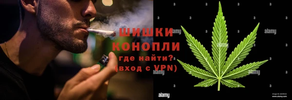 ПСИЛОЦИБИНОВЫЕ ГРИБЫ Белоозёрский