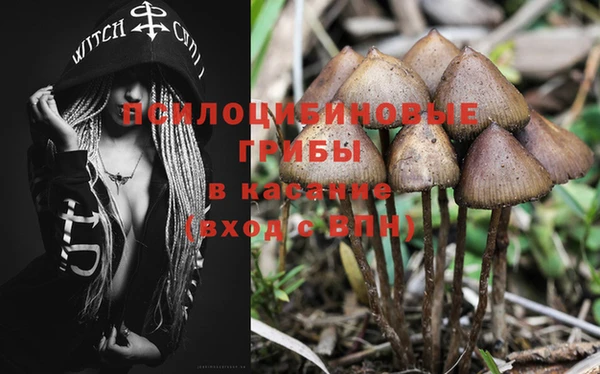 а пвп мука Баксан