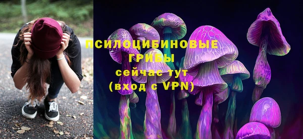 ПСИЛОЦИБИНОВЫЕ ГРИБЫ Белоозёрский