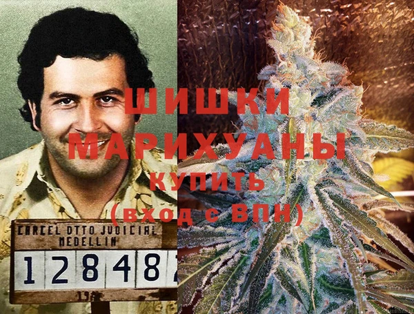 ПСИЛОЦИБИНОВЫЕ ГРИБЫ Белоозёрский