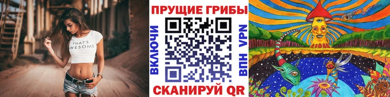 ссылка на мегу рабочий сайт  Вуктыл  Псилоцибиновые грибы прущие грибы 